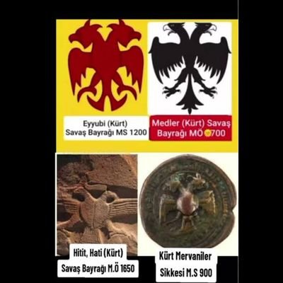 Erdheja21's profile picture. 