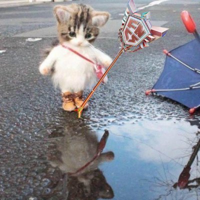 arnefn281's profile picture. 