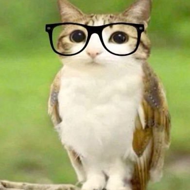 sevithi_'s profile picture. 20 they