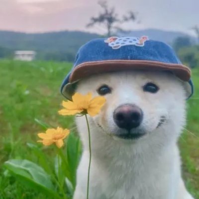 desomena3's profile picture. 