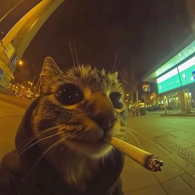 painkillazvrc's profile picture. 21 | Music Producer Since 2019 | Move To America by Nascar Aloe