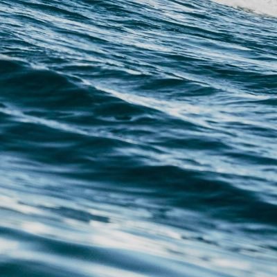 vamberban's profile picture. 