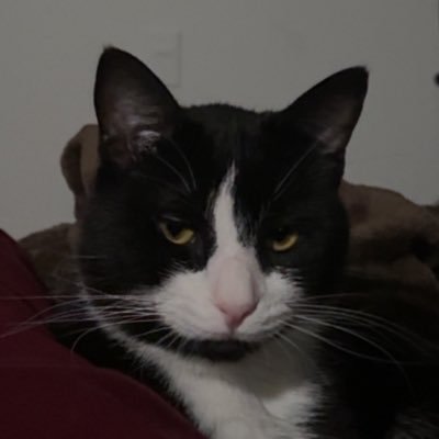 ClickahoIic's profile picture. K don’t care bye