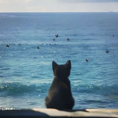 rjrynotreal's profile picture. stan account 'to beb 🫶💋