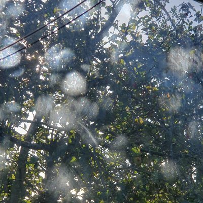 Lo0ce's profile picture. þæs ofereode, þisses swa mæg

That passed over, so may this.