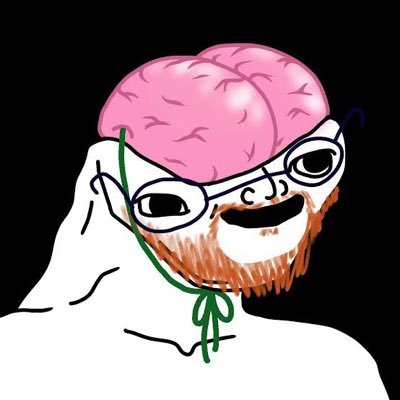 smoothbrainsai's profile picture. Proprietary execution engine and crypto investment management for mid curvers.