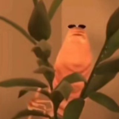 AlkoSzop's profile picture. 