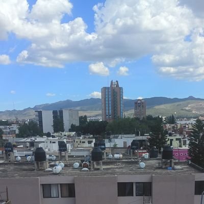 pepe1331490's profile picture. 