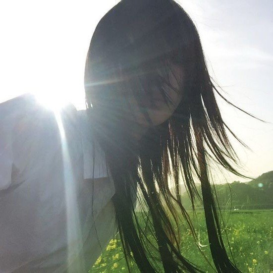 asteraleas's profile picture. ͏ ͏ ͏ ͏ ͏ ͏ ͏  ͏ ͏         cr: lírio azul, azul lírio. (ele/ela)