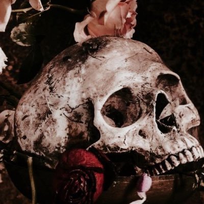 marlbororojooo's profile picture. a femme lesbian with a machete||MDNI|| SoCal|| priv without no filters or wtv:@pasenmeuncig