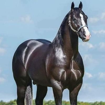 MMydw70123's profile picture. الحب والعشق