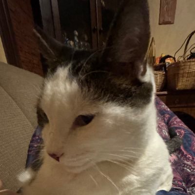 DanielThyManiel's profile picture. swag