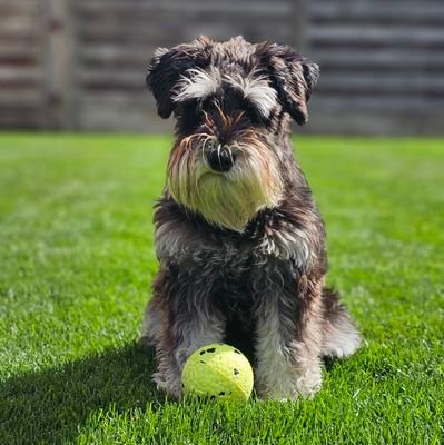 michel6024's profile picture. 