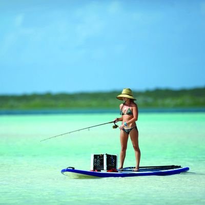 hyacinth4445's profile picture. Here to listen when you need to talk.