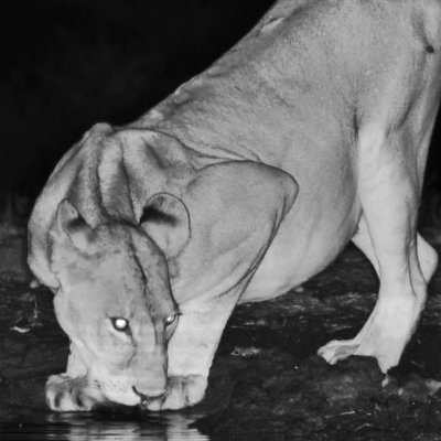 retiredbsmtwife's profile picture. 