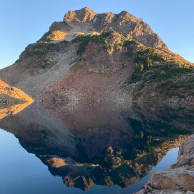 Shilly83's profile picture. Just a guy