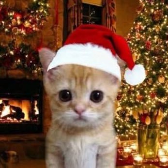 addi1's profile picture. d2 player, poet and music enthusiast