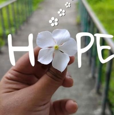 oluwatobil27886's profile picture. 