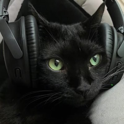 pantherinaz's profile picture. trying this again  just one last time