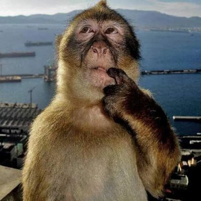 olenpaik's profile picture. @olenpaik