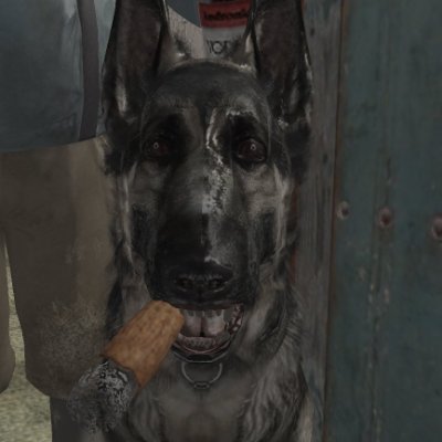 C0NOR's profile picture. dragonchaser @eRaEternities lead @M0NEYTEAMB4BY 🇮🇪

#LFC #YNWA