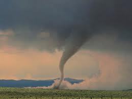 MetroStormTrack's profile picture. 