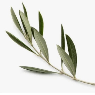 Marcioshalon777's profile picture. 