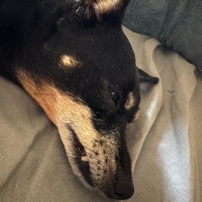 manuconparla's profile picture. 