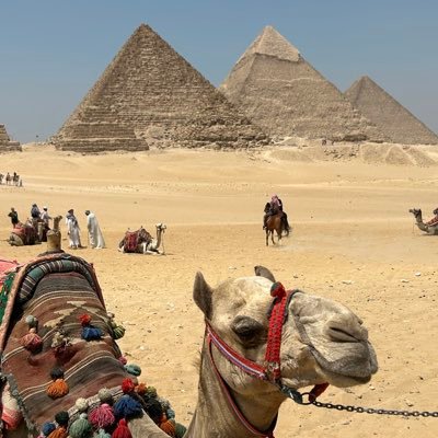 Maddy141618's profile picture. #Socialist, Left and proud #NoFascists #NoRacists British, European, Earth Dweller, humanitarian