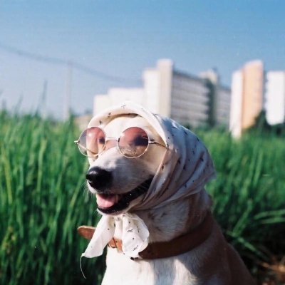 DawnLv0924's profile picture. You can’t pour from an empty cup — rest, refill, restart.