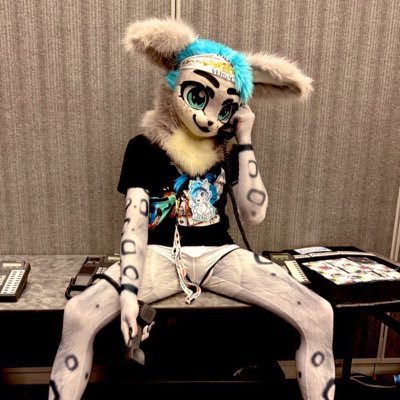 ArcTheSnep's profile picture. ⭐️suit by: @Awu_otter 🧵| part-time content creator 📺 | videography & photography (Fuji & Cannon shooter) 📸 | Streams on Twitter | big cat appreciator⭐️