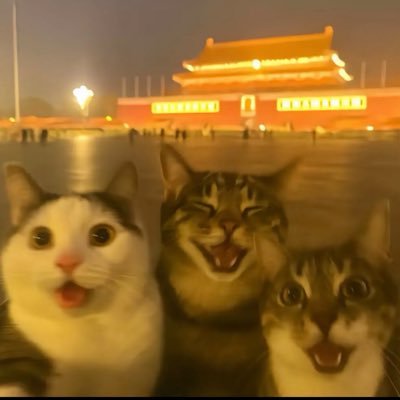 Lanem512's profile picture. 