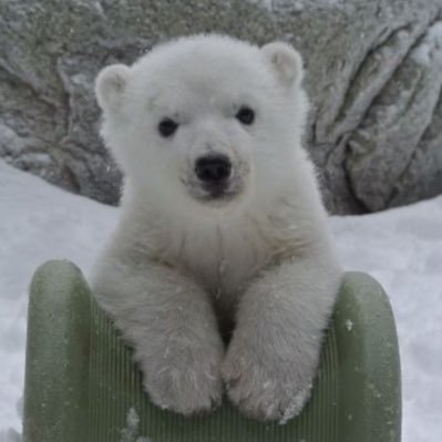 horihori_5_14's profile picture. BUMPer H5 凸