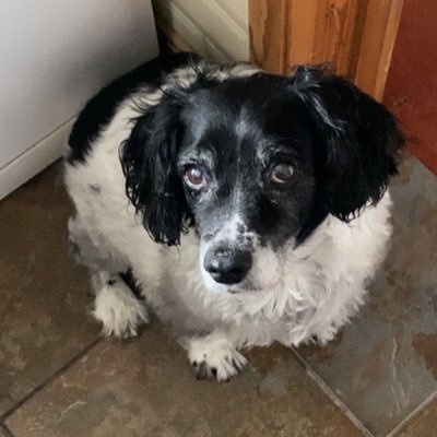 Inkthirsty's profile picture. 18, programmer, music addict @NendoArts