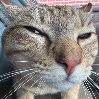 lqnx3c's profile picture. any pronouns :)