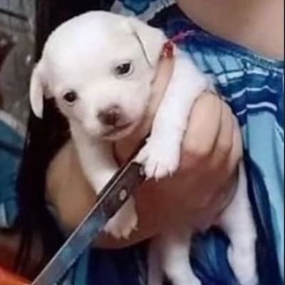 lanadewray's profile picture. ⠀⠀⠀⠀⠀⠀⠀ʚ ĭ ɞ⠀⠀⠀⠀⠀⠀⠀    ⠀⠀⠀⠀⠀⠀⠀⠀⠀⠀    ⠀⠀⠀⠀⠀⠀⠀⠀⠀⠀    ⠀⠀⠀
⠀⠀    ⠀⠀⠀⠀⠀⠀⠀⠀⠀⠀    ⠀⠀⠀