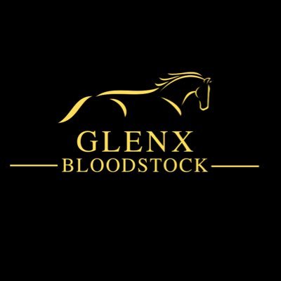 GlenxLodge's profile picture. Thoroughbred Bloodstock Business