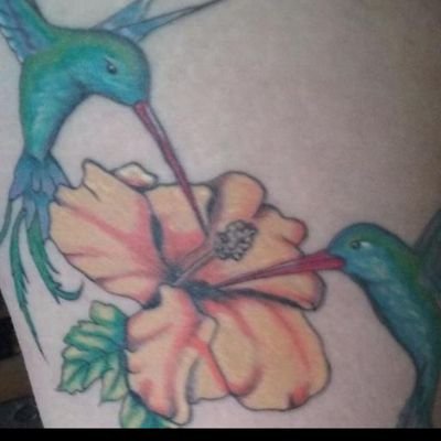 hummingbird0810's profile picture. A busy wife & mum. I love reading  about alpha males and females in erotic, dark & twisted tales