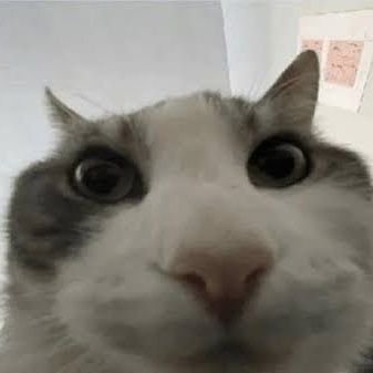 Turnatuna12's profile picture. 