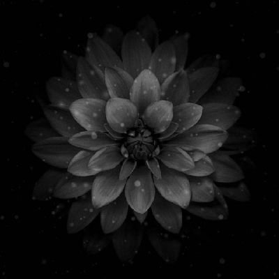 joao_paulogalli's profile picture. Josué 1:9 🙏