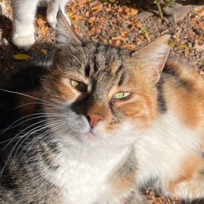 la1vita's profile picture. abooooooovvvvvv