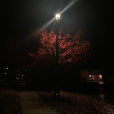 PixelPlayz16's profile picture. co-founder and main programmer @RiftStudiosRbx.