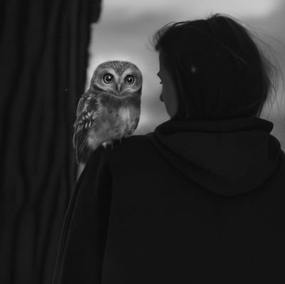 iamrastgar's profile picture. Saturn never forgets.