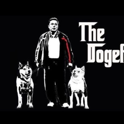 father_dog45518's profile picture. Founder Tesla Spacex rocket man #newprivateaccount