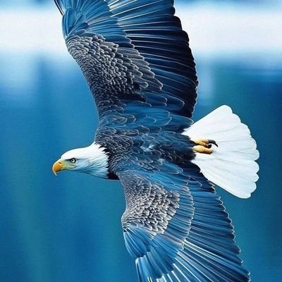 soso1133927's profile picture. 