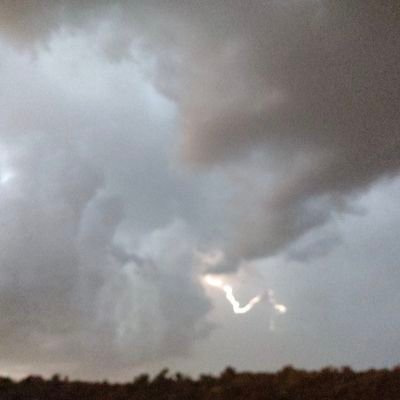 shylockceliaco's profile picture. 