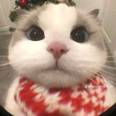 mommymavisj's profile picture. 