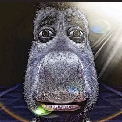 stockbrr's profile picture. DeFi