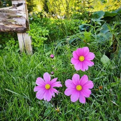 FredMurray83's profile picture. Quand la vérité n'est pas libre, la liberté n'est pas vraie.  Jacques Prévert.