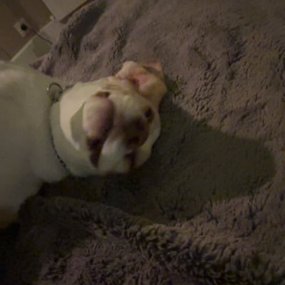 M_J_Nijenhuis's profile picture. 